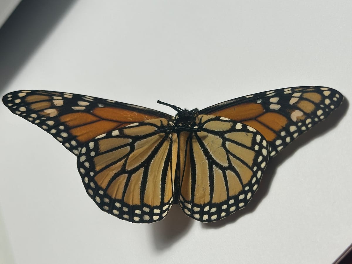 Solving the Fallen Hero-Redeemable Villain.