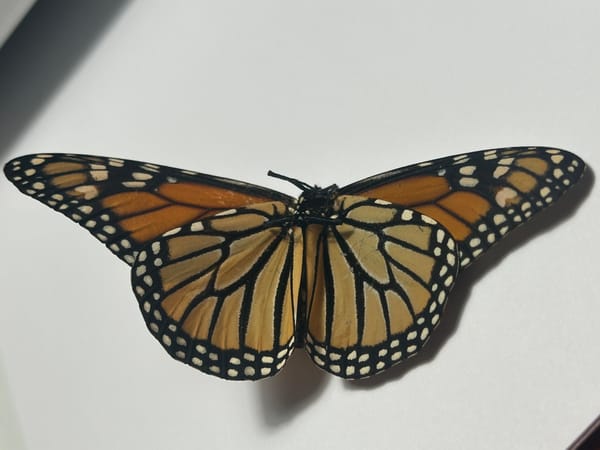 Solving the Fallen Hero-Redeemable Villain.